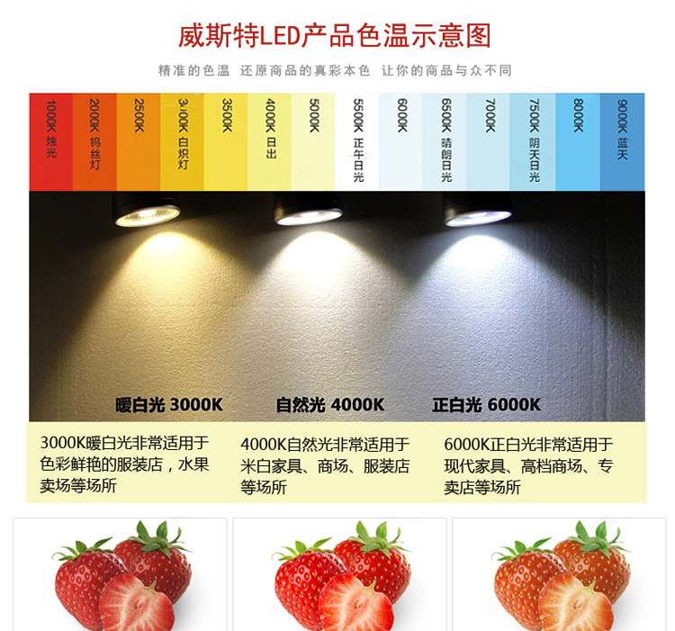 嵌入式天花射灯市场行情分析 深圳市威斯特灯饰价格走势与生产优势